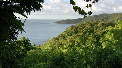 Ile de Palawan